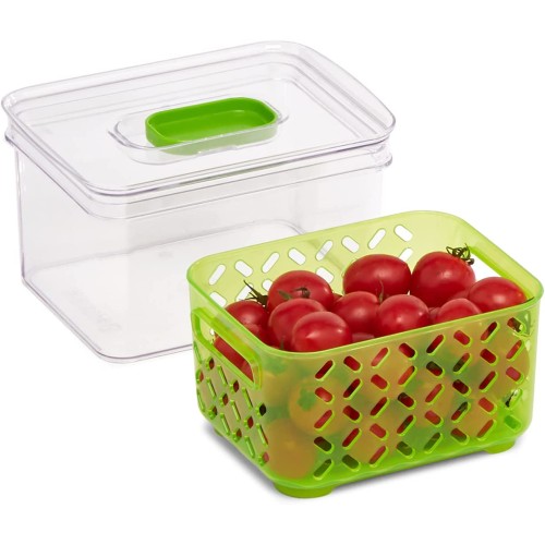 Amazon Basics Produce Food Saving Container With Vented Lids BPA Free